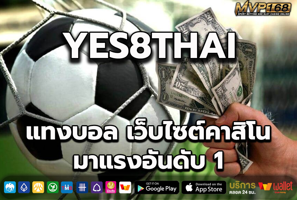 yes8thai 1